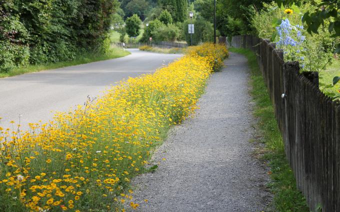 Bauleitplanung