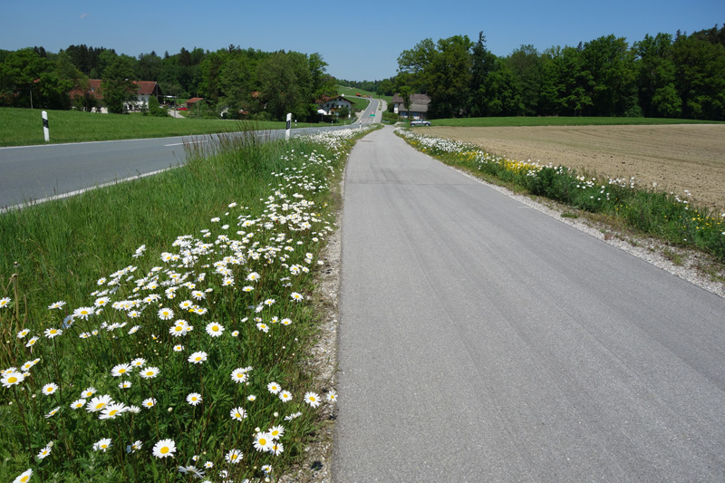 Geh- und Radweg von Rott nach Mailing