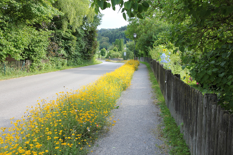 Fußweg Moosach, Süd