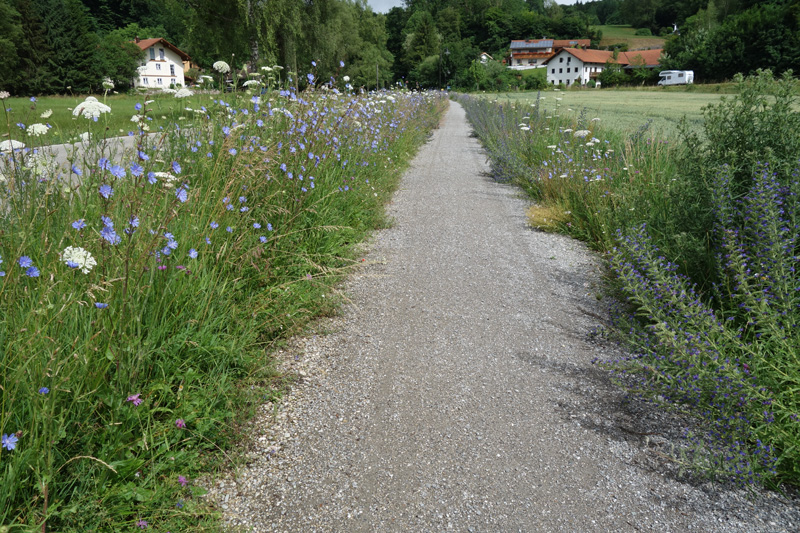 Fußweg Moosach, West